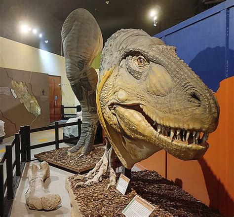 dinosaur fossil museum near me.